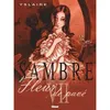 Image de Sambre - Tome 07 Bernard Hislaire (Auteur)