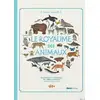 Image de Le royaume des animaux - classification scientifique des espèces animales