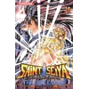 Image de saint Seiya - the lost canvas tome 14