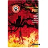 Image de Le chat noir et autres histoires Edgar Allan Poe (Auteur)