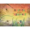 Image de Mystères et toiles d'araignée : les aranéides en occasion ou reconditionné
