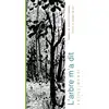 Image de L'arbre m'a dit