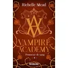 Image de Vampire academy. Vol. 4. Promesse de sang en occasion ou reconditionné