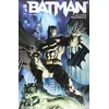 Image de Batman. Vol. 1. La cour des hiboux en occasion ou reconditionné