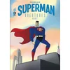 Image de Superman aventures. Vol. 1 en occasion ou reconditionné