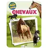 Image de Chevaux en occasion ou reconditionné