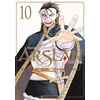 Image de The heroic legend of Arslân tome 10