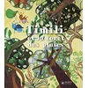 Image de Timili et la forêt des pluies en occasion ou reconditionné