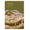 Image de Yawara en occasion ou reconditionné