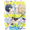 Image de Goodbye, nameless violin