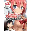 Image de My teen romantic comedy tome 2