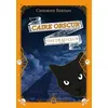 Image de Caire Obscur Cendrine Bertani (Auteur)