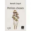 Image de Petites choses Benoît Coquil (Auteur)