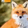 Image de Le renard en occasion ou reconditionné