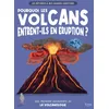 Image de Pourquoi les volcans entrent-ils en éruption ? : une première découverte de la volcanologie en occasion ou reconditionné