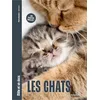 Image de Les chats en occasion ou reconditionné