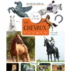 Image de Les chevaux : quiz, jeux et p'tites infos en occasion ou reconditionné