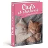 Image de Agenda Chats et chatons 2024-2025 en occasion ou reconditionné