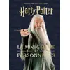Image de Les mini-grimoires Harry Potter Tome 9 : La mini-galerie des personnages