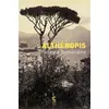 Image de Althénopis Fabrizia Ramondino (Auteur), Françoise Lantieri (Traduction)