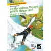 Image de Le Merveilleux Voyage de Nils Holgersson à travers la Suède Selma Lagerlöf (Auteur), Laurence Vismes-Mokrani (de) (Auteur)