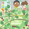 Image de Les phasmes Stéphanie Ledu (Auteur), Candela Ferrandez (Illustration)
