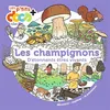 Image de Les champignons Stéphanie Ledu (Auteur), Nicolas Haverland (Illustration)