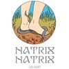 Image de Natrix Natrix