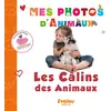 Image de Les câlins des animaux