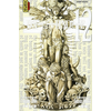 Image de Death note tome 12