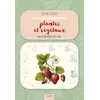 Image de 10 étapes pour dessiner plantes et végétaux : plus de 50 modèles pas à pas ! en occasion ou reconditionné