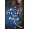 Image de Un palais de colère et de brume en occasion ou reconditionné