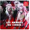 Image de Les animaux du cirque en occasion ou reconditionné