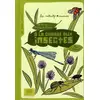 Image de À la chasse aux insectes !