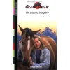 Image de Grand Galop. Un cadeau inespéré en occasion ou reconditionné