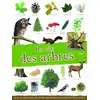 Image de La vie des arbres