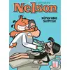 Image de Nelson Tome 16 : déplorable surprise