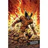 Image de Wolverine, n° 5. Le retour de Wolverine (1) en occasion ou reconditionné