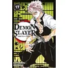 Image de Demon Slayer T17 Koyoharu Gotouge (Auteur)