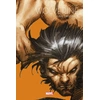 Image de Wolverine les origines - Le printemps des comics 2021