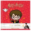 Image de Harry Potter : Mon petit journal secret Harry en occasion ou reconditionné