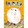 Image de Hamster et boule de gomme en occasion ou reconditionné
