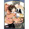 Image de Junjo romantica tome 22