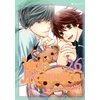 Image de Junjo romantica tome 26