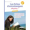 Image de Les fiches d'entraînement effaçables : français 6e en occasion ou reconditionné