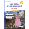 Image de Les fiches d'entraînement effaçables : français 3e brevet en occasion ou reconditionné