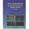 Image de Atlas d'échographie du système locomoteur. Vol. 2. Membre inférieur en occasion ou reconditionné