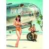 Image de Pin up wings tome 4
