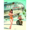 Image de Pin-Up Wings T4 Romain Hugault (Illustration)