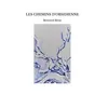 Image de Les chemins d'obsidienne Bertrand Bény (Auteur)